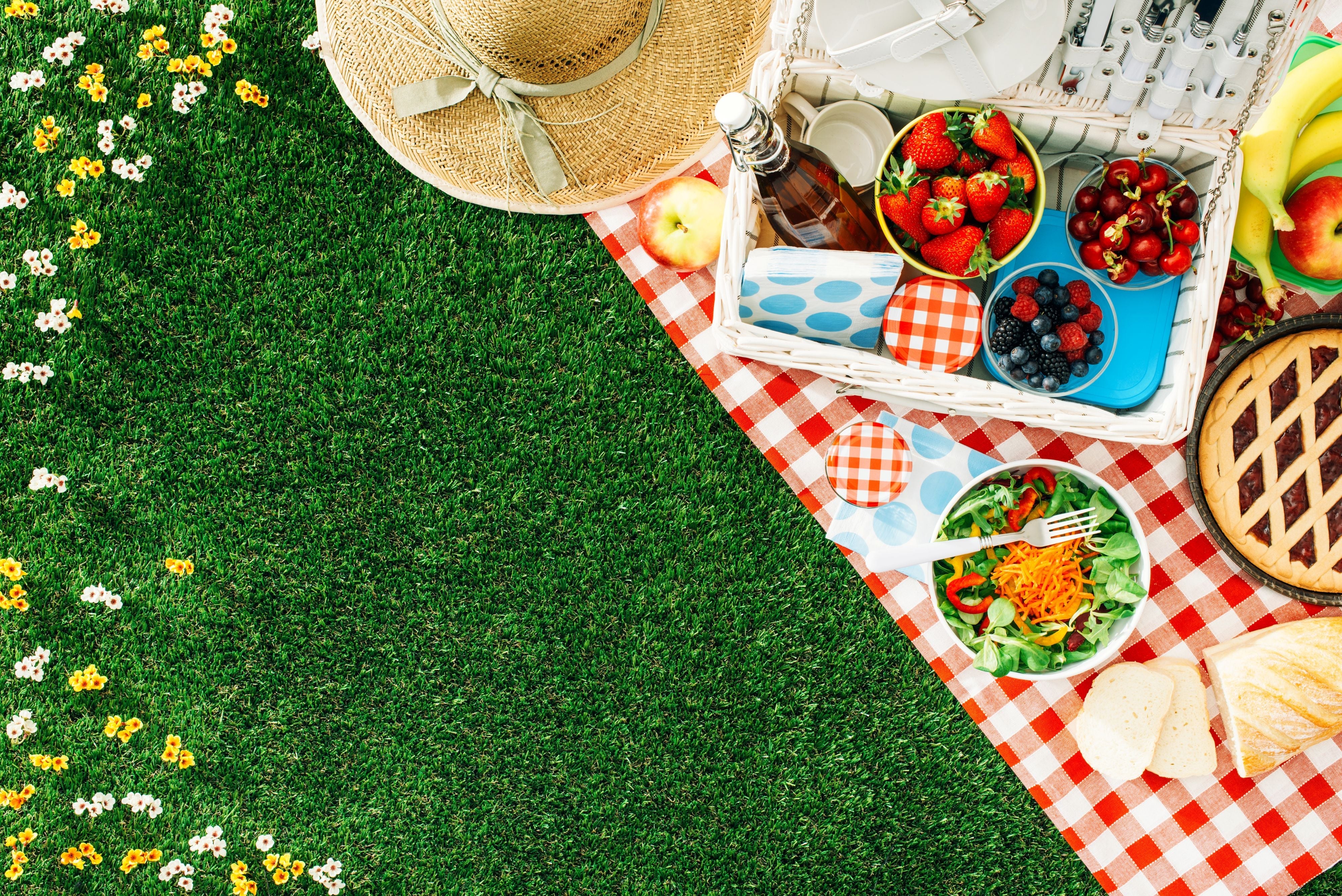 How to Host the Ultimate Picnic with Select Brands