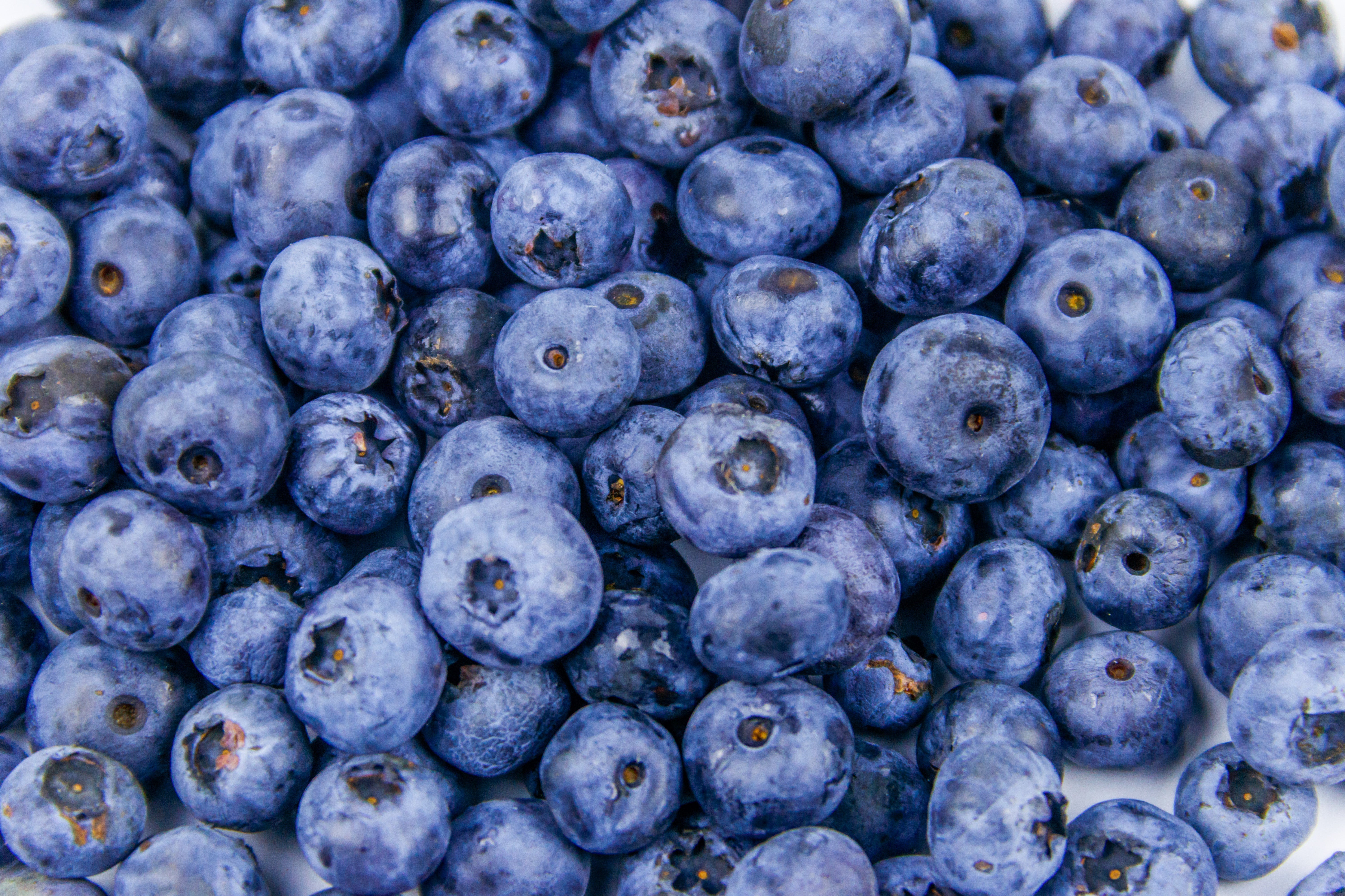 5 Blueberry Recipes to Make for National Blueberry Month